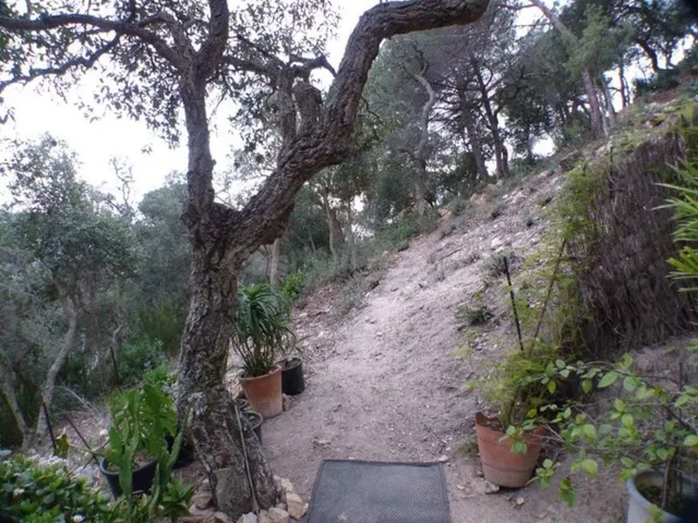 Terreno urbanizable 300m² en venta - Canyelles - Montgoda - foto 2
