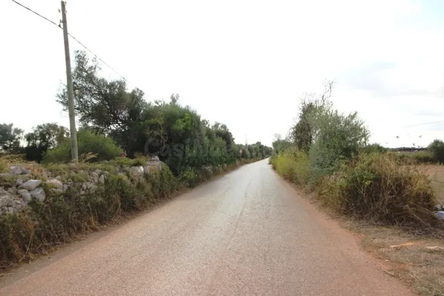 Terreno rural entre Felanitx y Porreres - foto 3