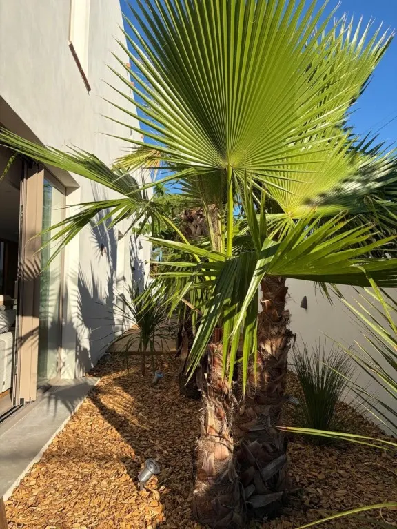 Villa de arquitecto de excepción en Empuriabrava — 19