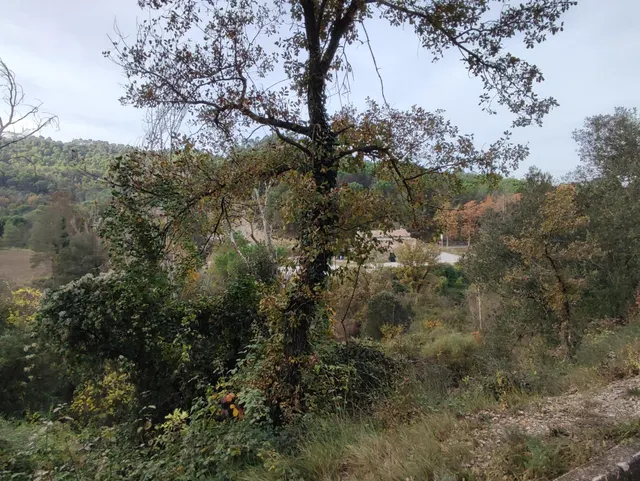 TERRENO EN VENTA EN LA URBANIZACION MASIA DEL SOLÀ (FINCA RUSTICA) MONISTROL DE CALDERS — 26