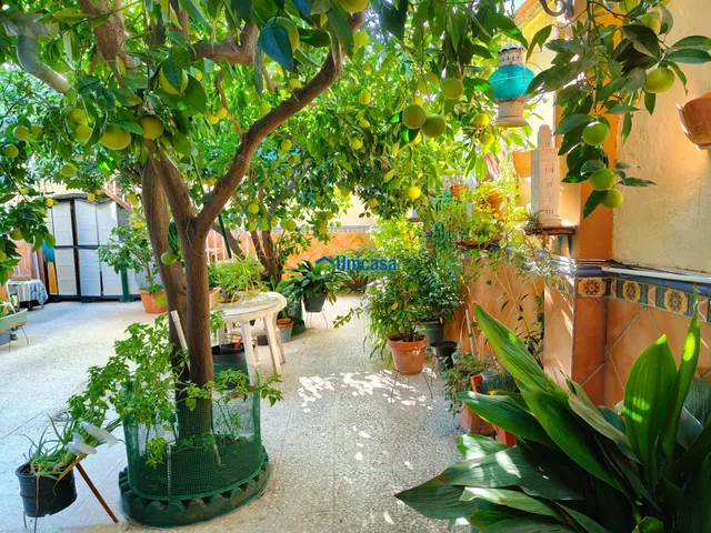 Casa mata en una sola planta con amplio garaje y precioso patio andaluz en el tomillar — 7