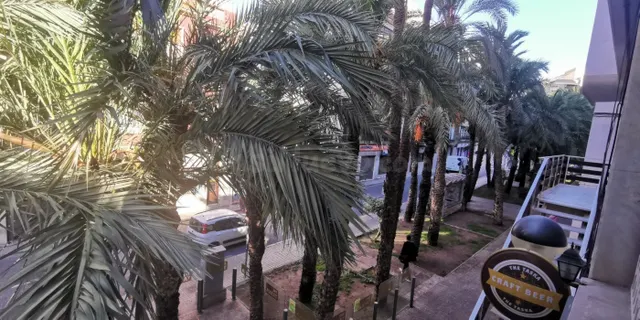 Oficinas en alquiler en pleno centro de Elche - foto 3