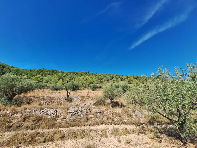 Finca rústica con olivos, almendros y vistas al castillo, a 3 km de Castalla — 10.000 € — 9