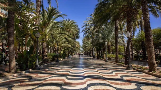 APARTAMENTOS EN ALICANTE CIUDAD — 12