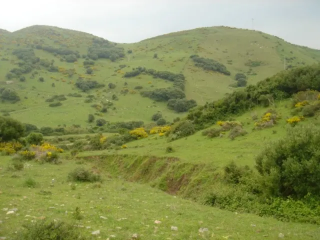 Se vende finca ceca de Tarifa — 11