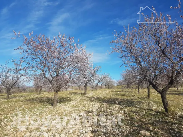 Naturaleza, privacidad y gran producción agrícola en esta singular finca rústica con cortijo tradicional en Vélez-Rubio — 7