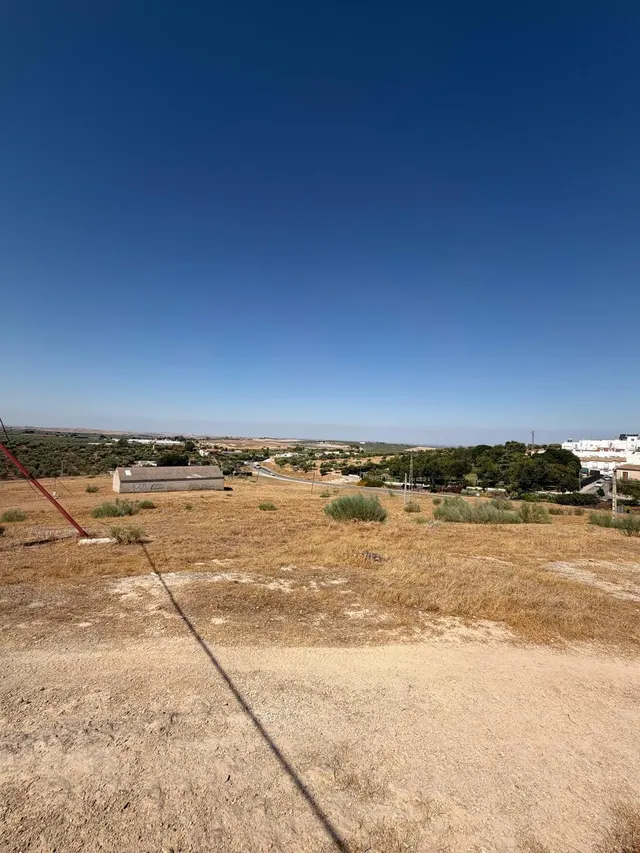 Parcela Rústica en Carretera Sevilla (A-360) N 19, Morón de la Frontera - Oportunidad Invertir — 7