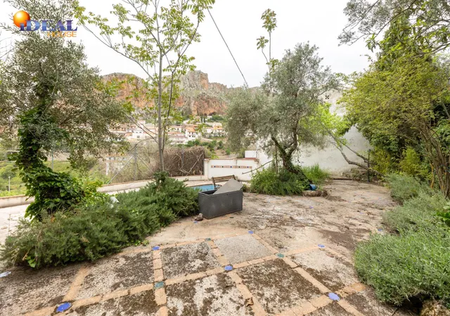 Chalet con gran parcela en Cogollos — 9