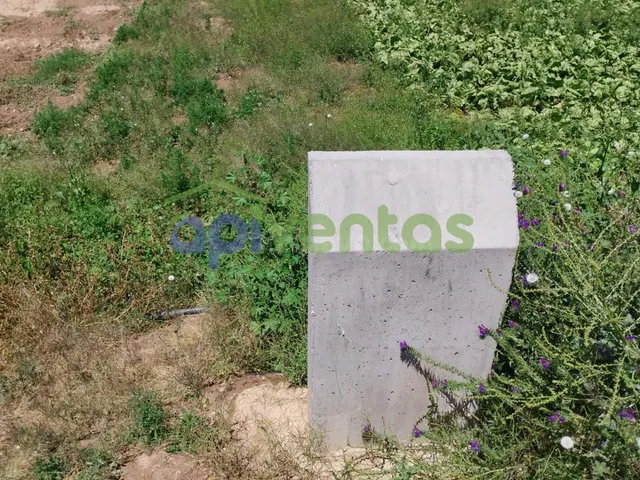 Parcela para construir (PURIAS) — 3