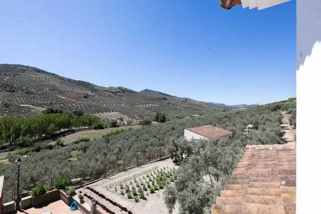 Casa con terreno ubicada en plena naturaleza, a tan solo 2km de Montefrio. — 45