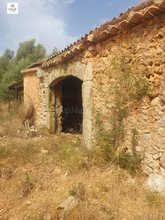FINCA SENCELLES EDIFICABLE CAS CANAR - foto 5