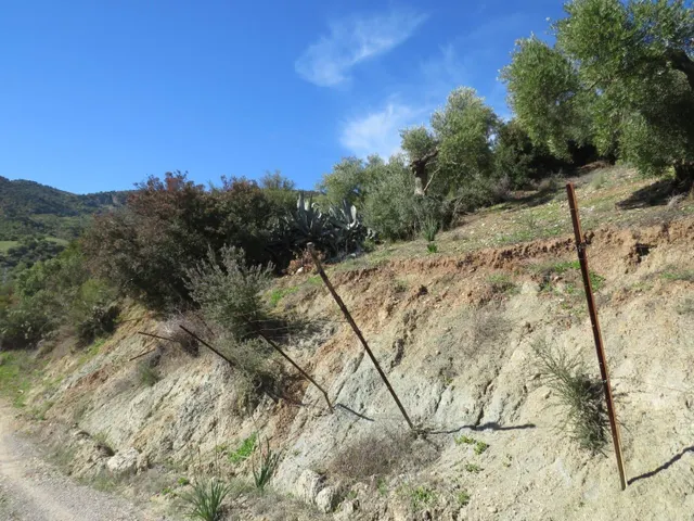 SUELO RÚSTICO NO URBANIZABLE - ZAHARA DE LA SIERRA (CÁDIZ) — 11
