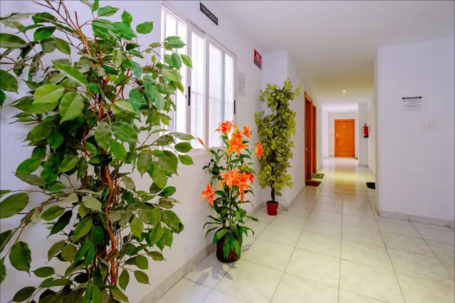 Apartamento de 1 dormitorio con licencia turística a 350 metros de Playa del Cura — 22