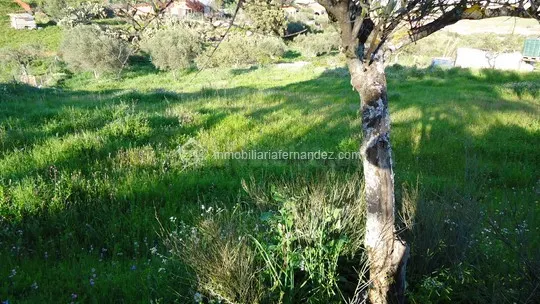 Parcela a 500 metros de Sierra de Fuentes - foto 3