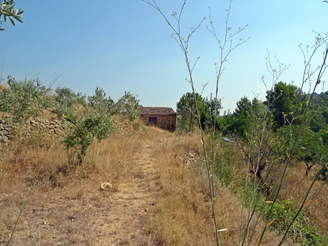 Casa de campo con proyecto para la construcción de una vivienda de 143m2 — 7