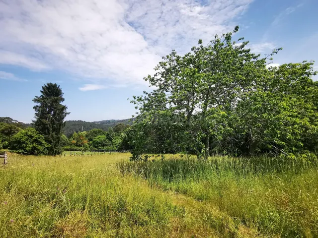 Finca parte urbana y parte rústica en Queirís, Coirós, muy c - foto 4