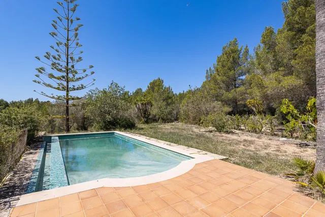 SE VENDE FANTASTICA FINCA RÚSTICA CON 35.000M2 DE TERRENO EN CALVIÀ — 5
