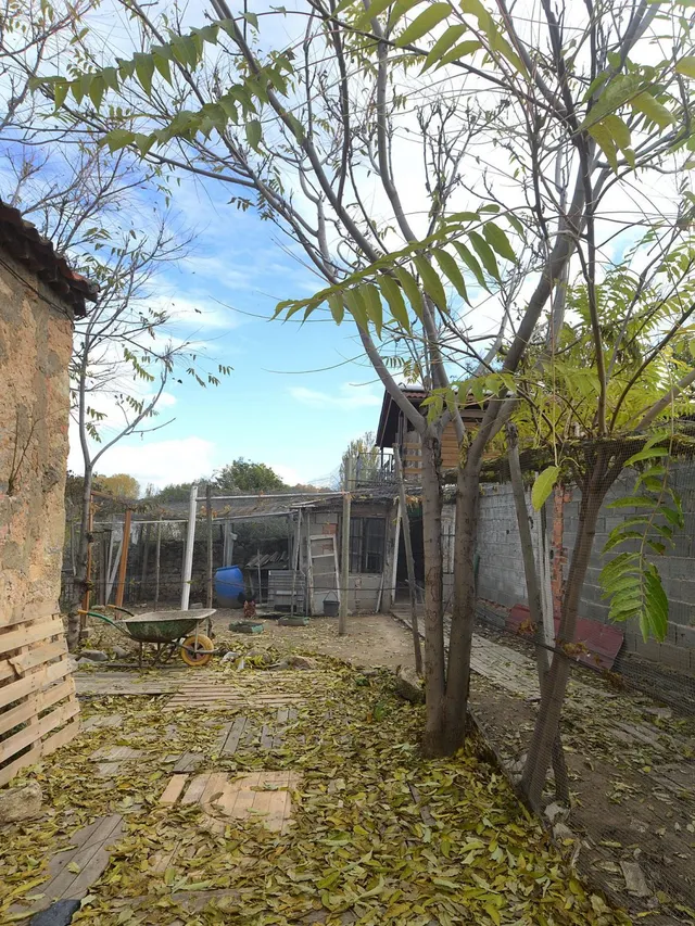 Finca Urbana en Bernuy — 15