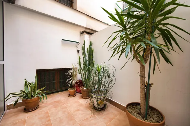 Amplia y bonita vivienda con garaje en calle italia (junto a plaza séneca) — 23