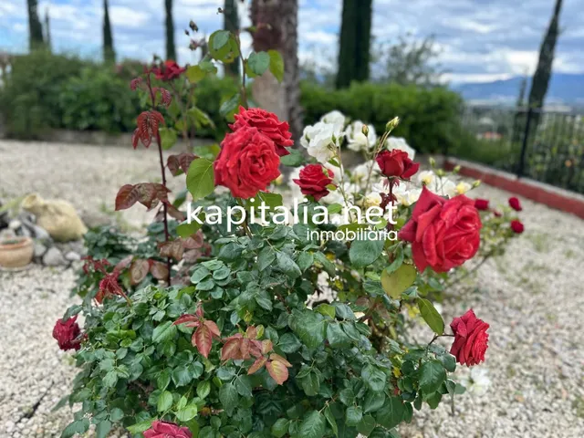 Chalet a la venta en L´Olleria (Valencia) — 30