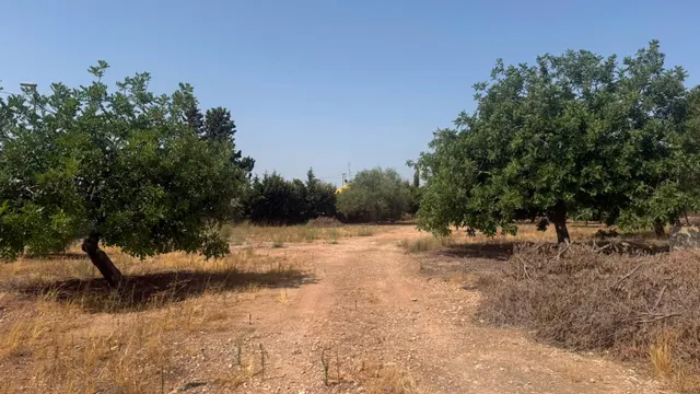 CASA DE CAMPO EN CORVERA CON 5.400 M2 DE PARCELA — 23