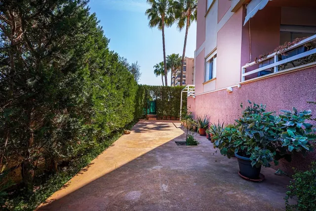 PLANTA BAJA  RESIDENCIAL EN LAS PALMERAS — 20