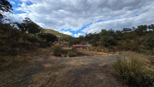 FINCA RUSTICA CON VIVIENDA — 21