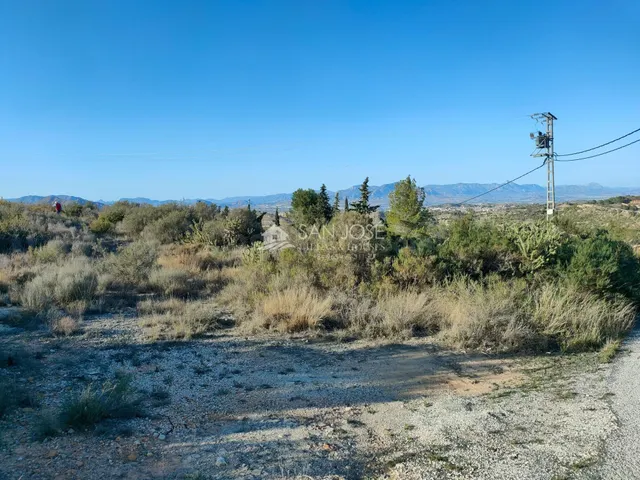 INMOBILIARIA SAN JOSE VENDE PARCELA RUSTICA EN ASPE ZONA BOR