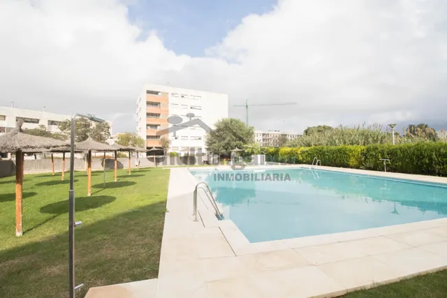 PISO EN ZONA DE CHAPIN — 24