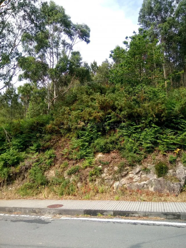 VENTA DE TERRENO EDIFICABLE EN LUGAR DE VENTOSA S/N (AMES) S - foto 2