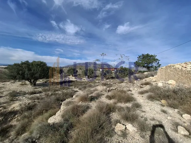 TERRENO RUSTICO A LA VENTA EN AGOST - foto 5