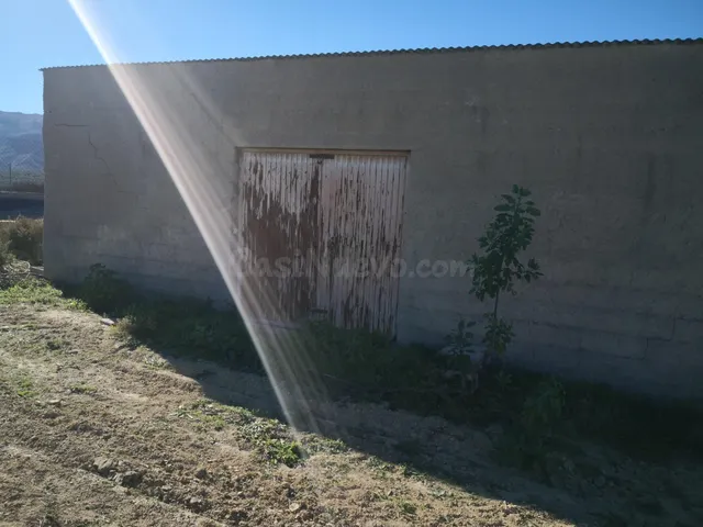 Se vende en Los Gallardos finca rústica en venta junto a la  - foto 4