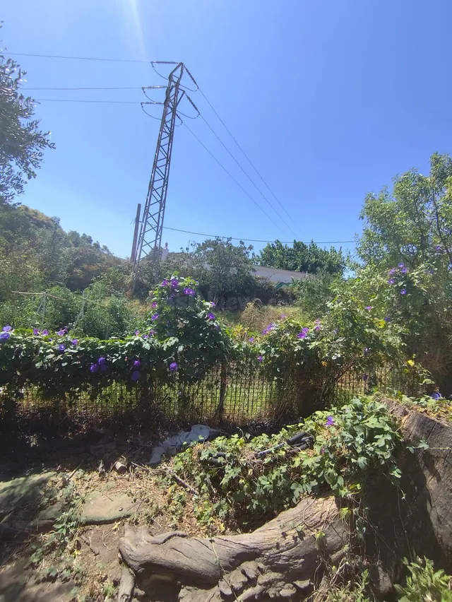 Parcela urbanizable de 1.200 m2 en Pelayo, Algeciras - foto 4