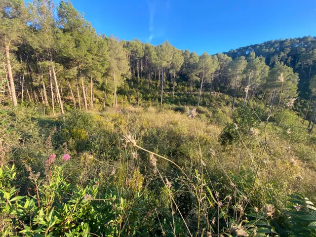 Fantastico terreno en Vallirana - En el sector el pinar, parte alta. — 3