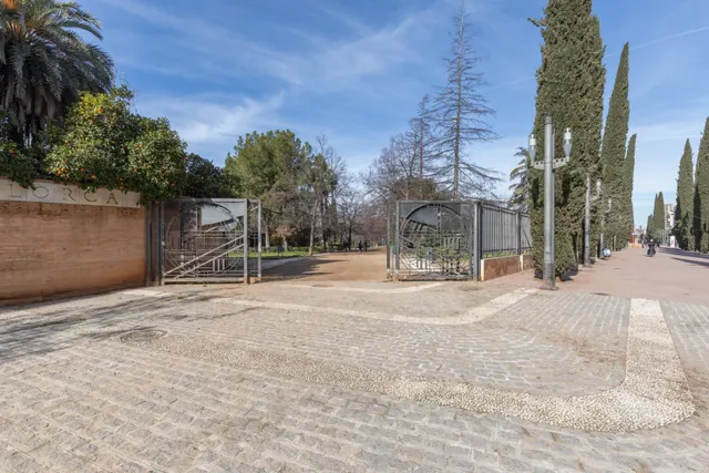 Piso con terraza y gran potencial junto a Camino de Ronda — 34