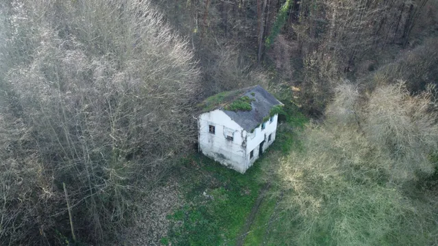 Oportunidad real: casa con parcela para rehabilitar en Tineo