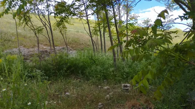 Terreno urbano en venta - Fuentelencina — 4