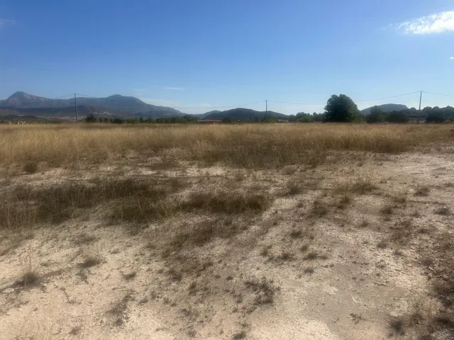 Terreno Rural Agrario de 13.000 m2 en Beties – Monóvar — 9