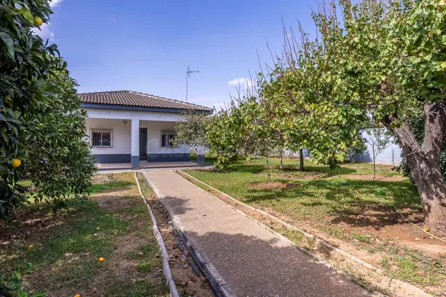 La mejor casa en el aljarafe — 3