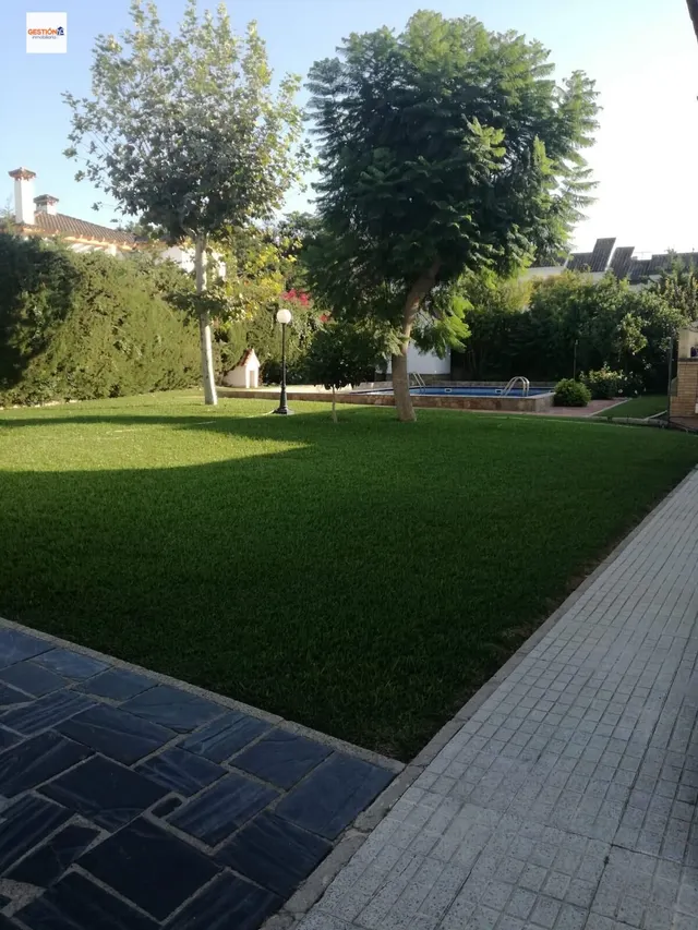 Casa independiente en parcela de 975 m2 con piscina — 8