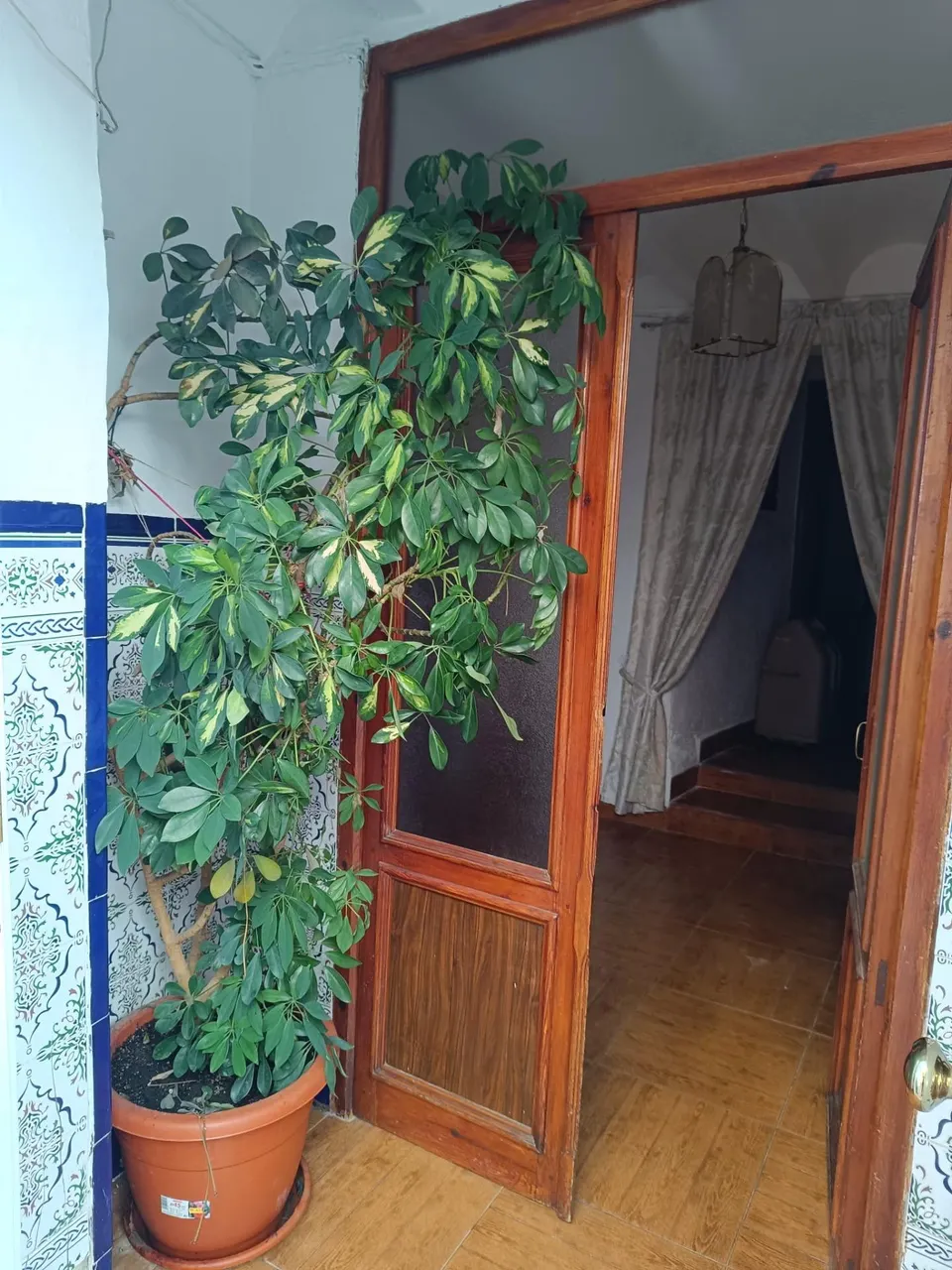 CASA EN  HUELMA