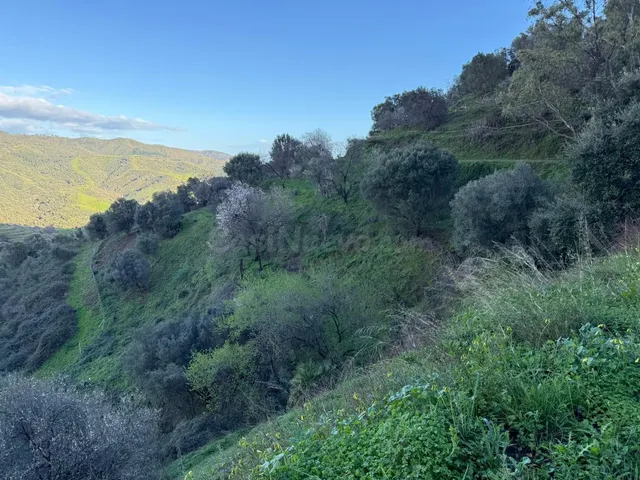 Finca rústica en zona alta de Marbella con vistas y servicios — 5