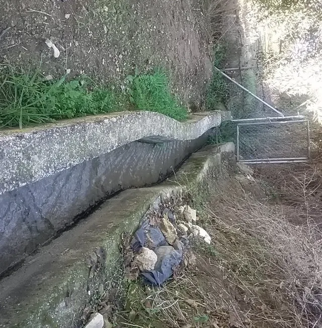 OLIVAR EN LA ZUBIA DE 3.597 M2 — 14