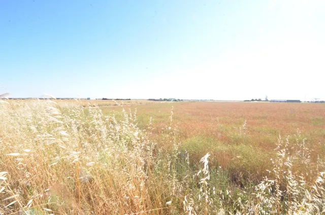 Urbis te ofrece un terreno en venta en Castellanos de Villiquera, Salamanca. — 3