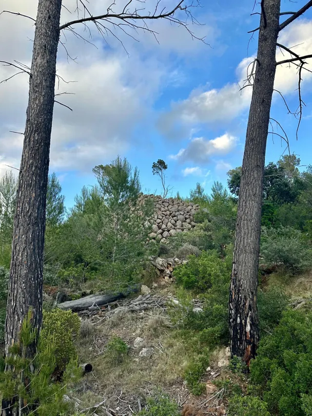 Terreno Rústico de 12.240 m2 en S’Arracó (Andratx) | Vistas al Mar, Cueva Natural y Pago Aplazado — 3