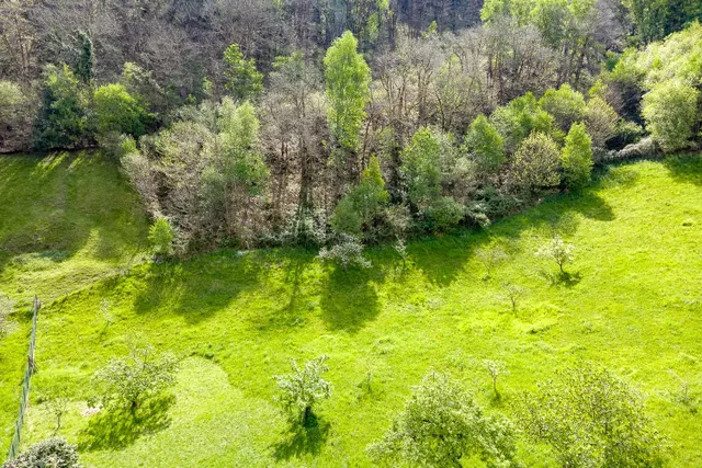Casa  asturiana de piedra a rehabilitar con finca de 32.000 m2  en Llaneces (Mieres) — 22