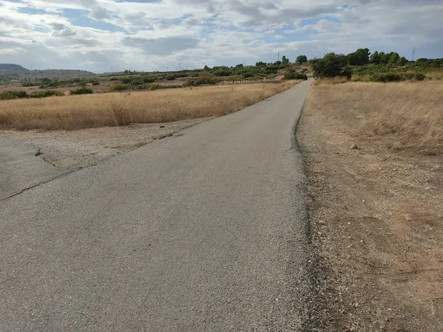 PARCELA DE 15.000 M2 EN PARAJE DE LOS ESPETONES. EXCELENTE ubicación Y ACCESO — 6