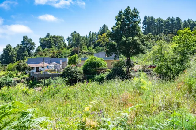 Finca con vivienda y viñedos en Icod de los Vinos — 7