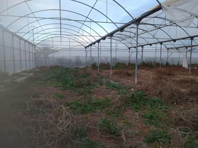 VENTA DE INVERNADEROS — 9