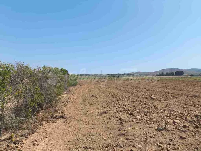Casa de campo-Masía en Venta en Caudete Albacete — 19